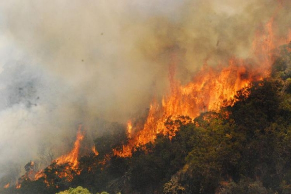 Photo de La DGF prévient contre de «grands» risques d’incendie