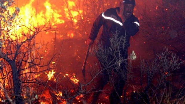 Photo de Plus de 9 000 hectares ravagés par les flammes