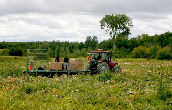 Photo de Les activités des producteurs au ralenti…