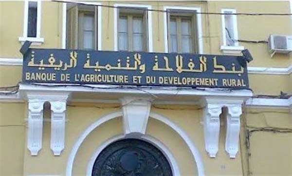 Photo de Des crédits de plus de 5,6 milliards de DA à Tiaret