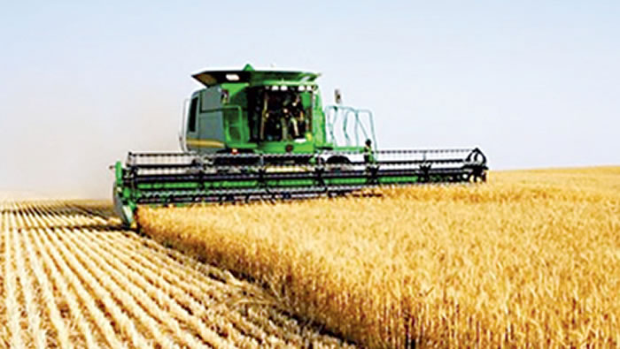 Photo de Grosse importation du blé pour l’Algérie
