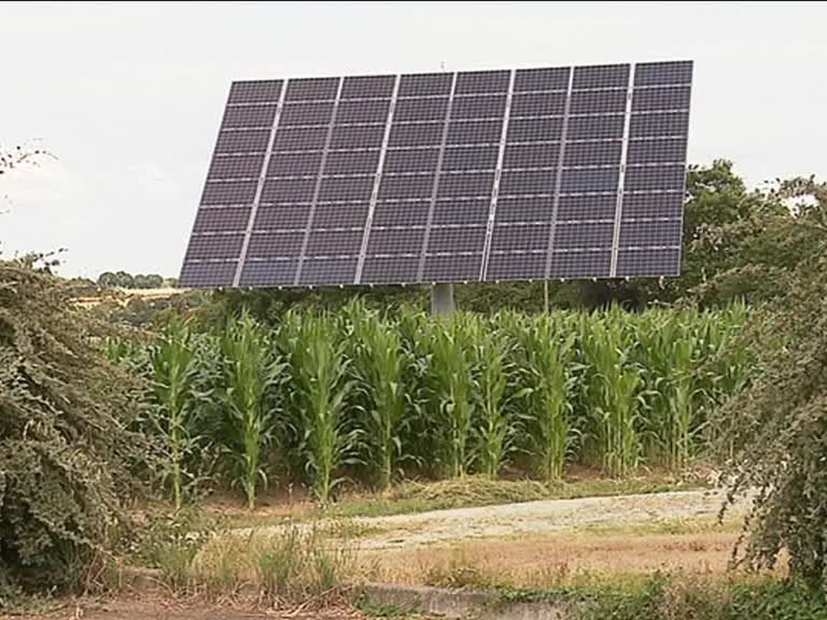 Photo de Energie : généraliser l’électricité solaire dans le secteur agricole