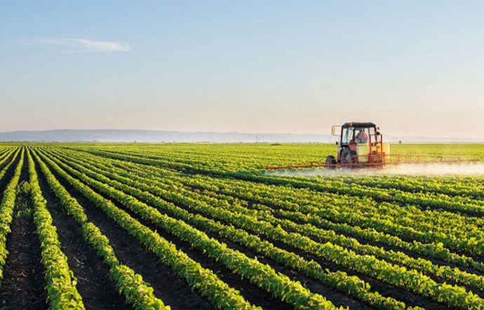 Photo de Touggourt.. L’industrie et l’agriculture en tête des secteurs les plus prometteurs