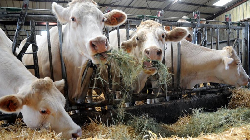 Photo de 1,2 milliard de dollars consacrés annuellement