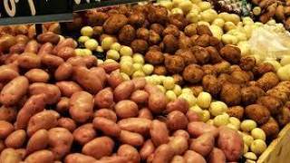 Photo de Pour faire baisser les prix : Déstockage d’importantes quantités de pomme de terre