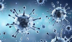 Photo de Coronavirus : 208 nouveaux cas de contamination en 24 heures