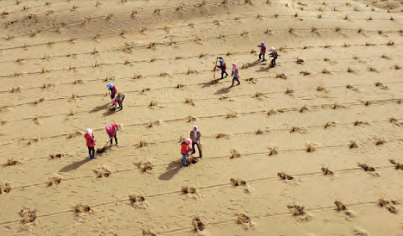 Photo de Une stratégie à l’horizon 2035