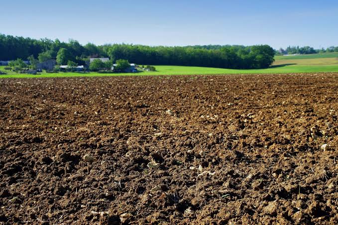 Photo de Près de 200 000 hectares de terres non exploites