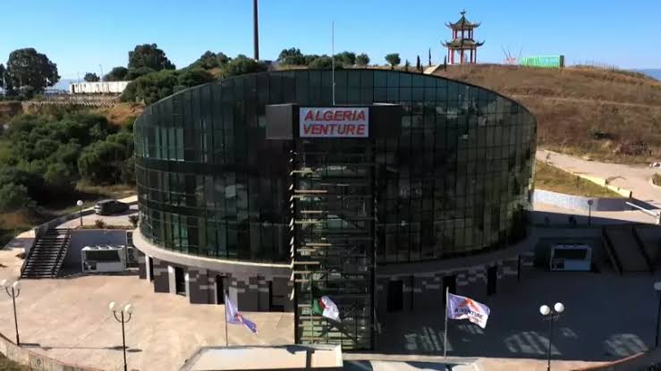 Photo de Accélérateur de start-u « Algeria Venture » a accompagné plus de 800 start-ups depuis 2021