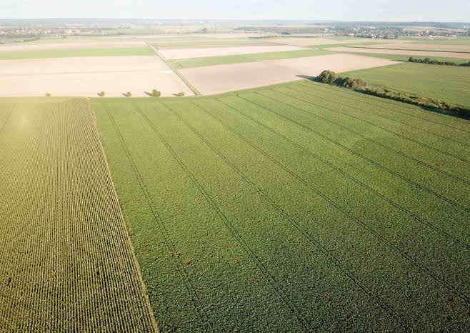 Photo de L’ODAS met en ligne un 3e portefeuille de 200.000 ha