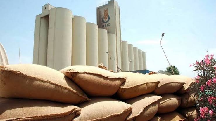 Photo de Disponibilité des légumineuses : Le ministère de l’agriculture rassure