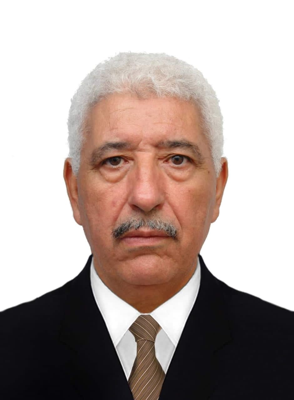 Photo de L’ Algérie mise sur l’investissement dans l’énergie verte pour atteindre la transition énergétique
