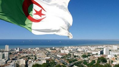 Photo de Régulation des importations: un levier stratégique pour la souveraineté économique