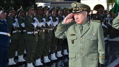 Photo de Renforcement des liens militaires : Le Général Saïd Chanegriha en visite officielle en Inde