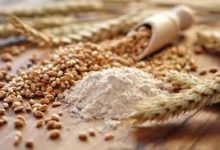 Photo de La Tunisie annonce une soumission de 25 000 tonnes de blé tendre de mouture