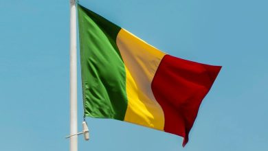 Photo de Mali : les partis politiques et les médias appellent à la mobilisation pour défendre la démocratie